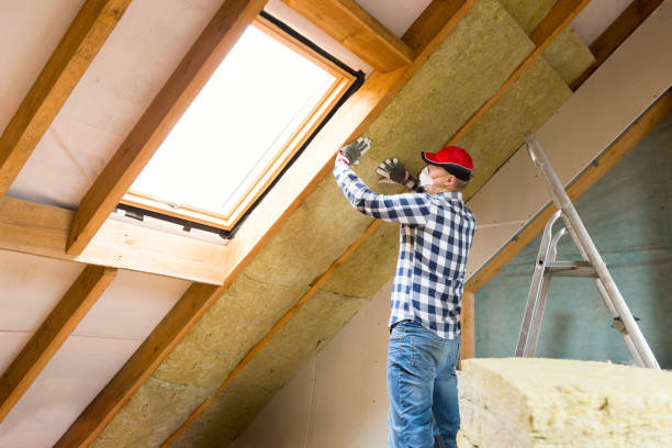 Best Eco-Friendly or Green Insulation Solutions  in , AZ